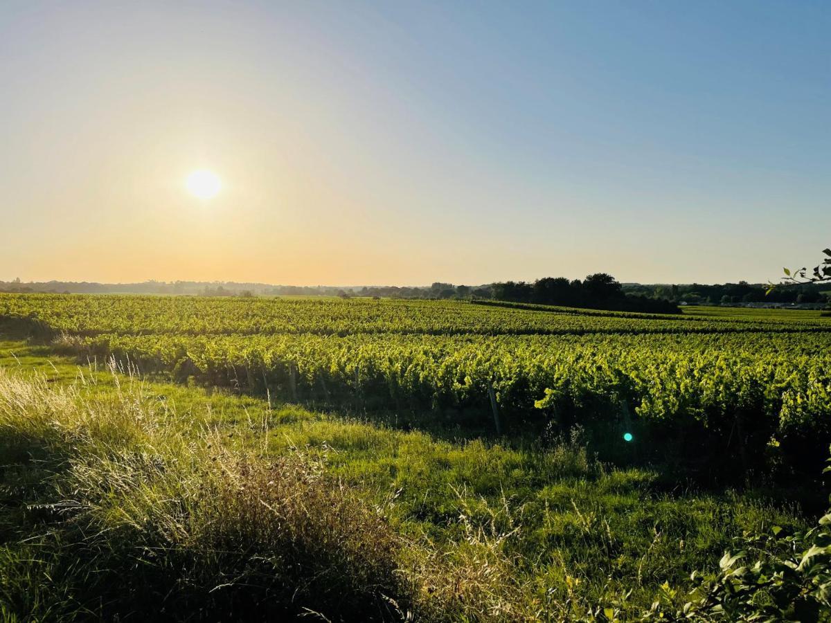 La Vigne D'Or Bed & Breakfast Teuillac ภายนอก รูปภาพ